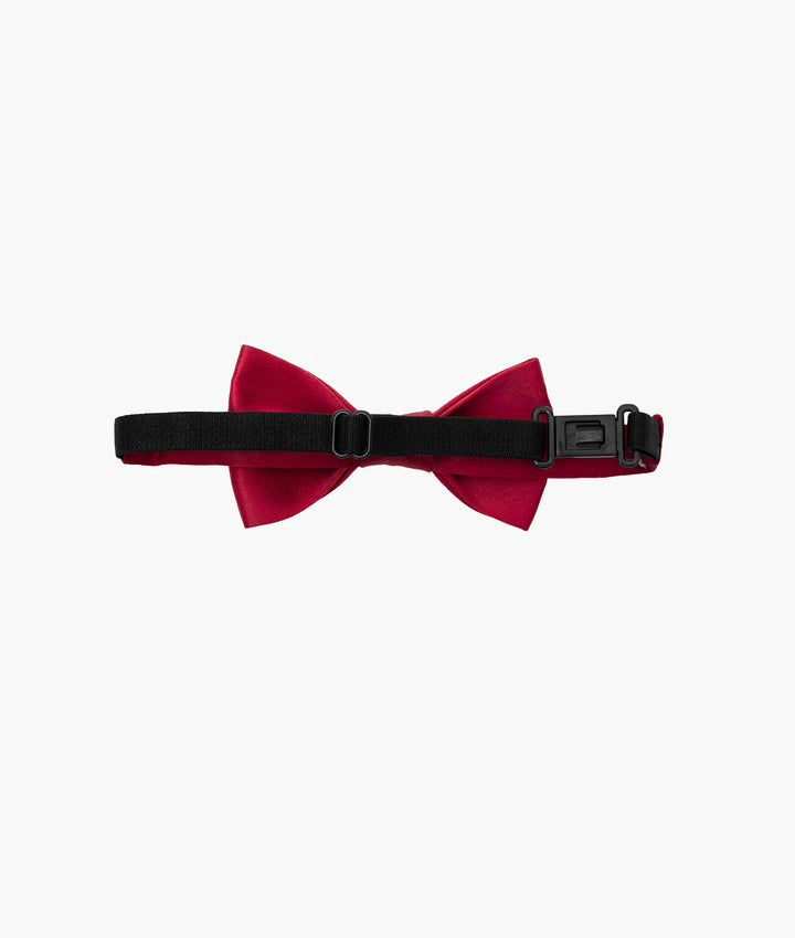Bow Tie
