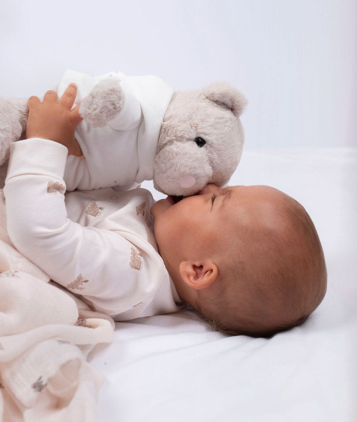 Teddy Tay